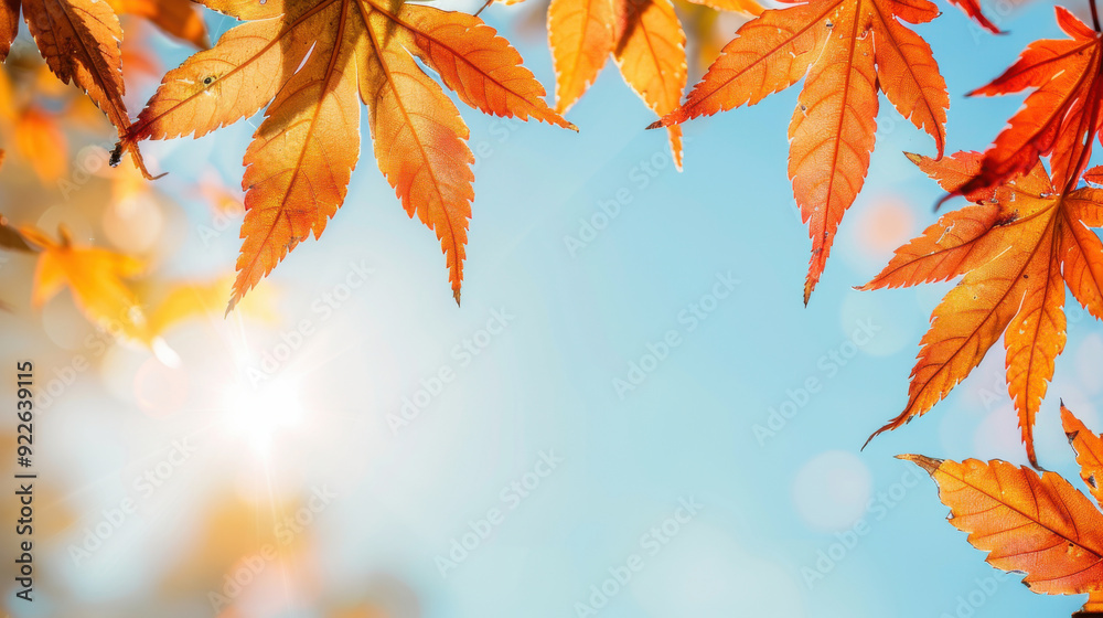 Vibrant autumn leaves against a soft blue sky, capturing the essence of fall with warm colors and gentle light. Vibrant autumn leaves against a soft blue sky, capturing the essence of fall with warm colors and gentle light.