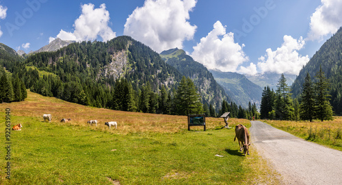 Impressionen aus Mallnitz Nationalpark Hohe Tauern Seebachtal photo