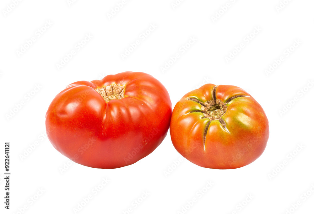 tomatoes isolated on white or transparent background tomatoes isolated on white or transparent background