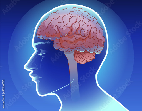 Human brain. Healthcare illustration. Vector illustration.