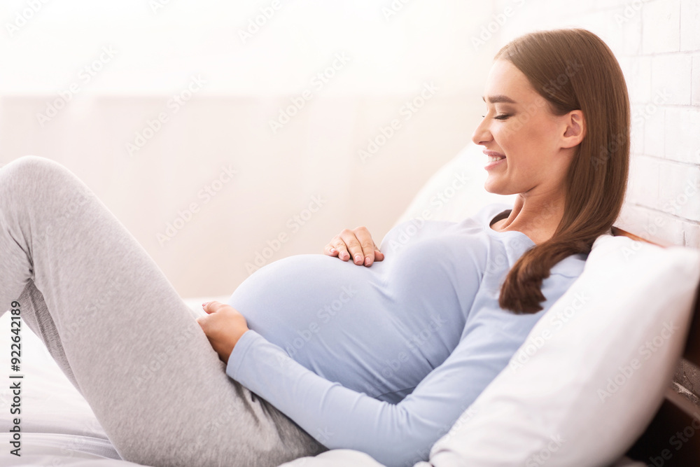 Mother-To-Be Lifestyle. Joyful Pregnant Lady Touching Belly Lying In Bed At Home. Side View Mother-To-Be Lifestyle. Joyful Pregnant Lady Touching Belly Lying In Bed At Home. Side View