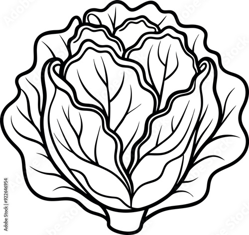 Black and White Cabbage Illustration for Coloring Book Pages