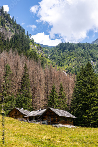 Impressionen aus Mallnitz Nationalpark Hohe Tauern Seebachtal photo