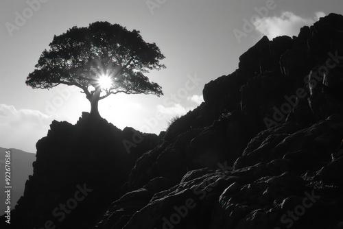 An image portraying a lone tree as a guardian against the encroaching shadows of dark clouds, symbolizing its role as a stalwart protecto