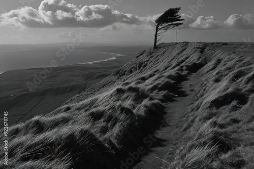 An image portraying a lone tree as a guardian against the encroaching shadows of dark clouds, symbolizing its role as a stalwart protecto