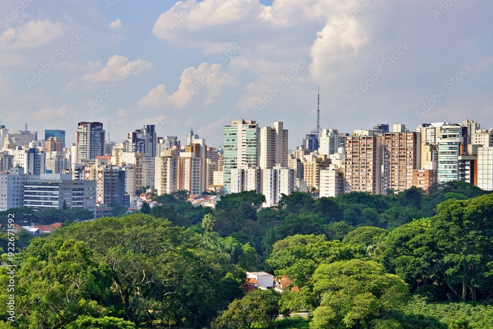 Fototapeta premium Panoramablick über Sao Paulo