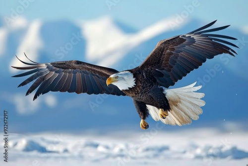 An image of a bald eagle soaring majestically in the sky, showcasing its impressive wingspan and symbolic representatio