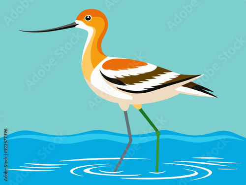 Avocette américaine pataugeant dans l’eau