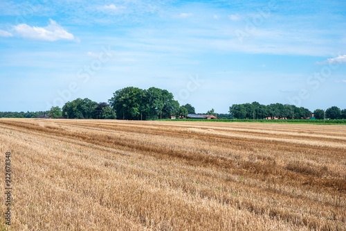 Harvested golden wheat field at the German countryside around Kirchseelte, Lower Saxony, Germany