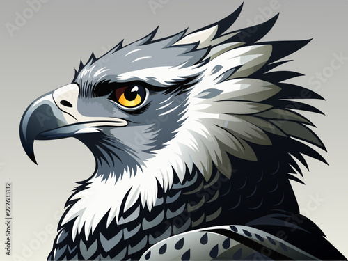 Noir et blanc couleur harpie aigle sauvage nature oiseau chasseur prédateur carnivore fort animal 
