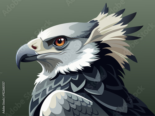 Noir et blanc couleur harpie aigle sauvage nature oiseau chasseur prédateur carnivore fort animal 
