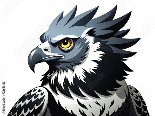 Noir et blanc couleur harpie aigle sauvage nature oiseau chasseur prédateur carnivore fort animal 
