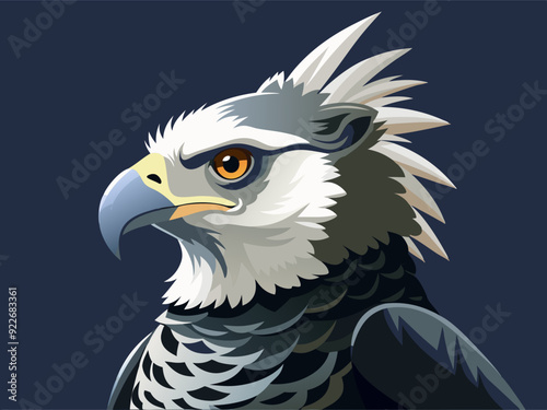 Noir et blanc couleur harpie aigle sauvage nature oiseau chasseur prédateur carnivore fort animal 
