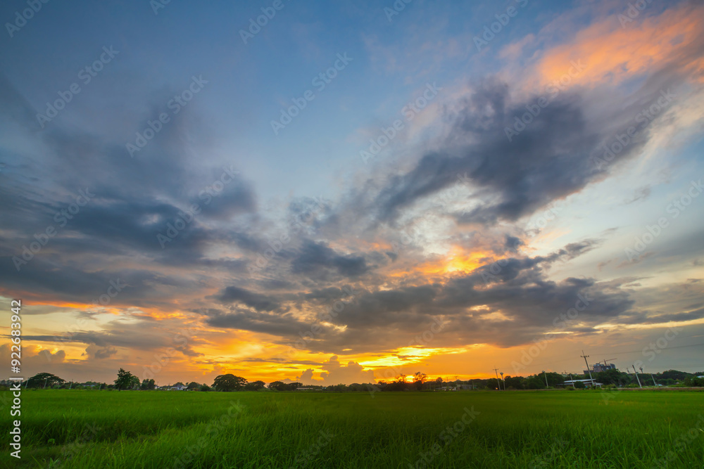 Scenic view landscape of Rice field green grass with field cornfield or in Asia country agriculture harvest with fluffy clouds blue sky sunset evening background. Scenic view landscape of Rice field green grass with field cornfield or in Asia country agriculture harvest with fluffy clouds blue sky sunset evening background.