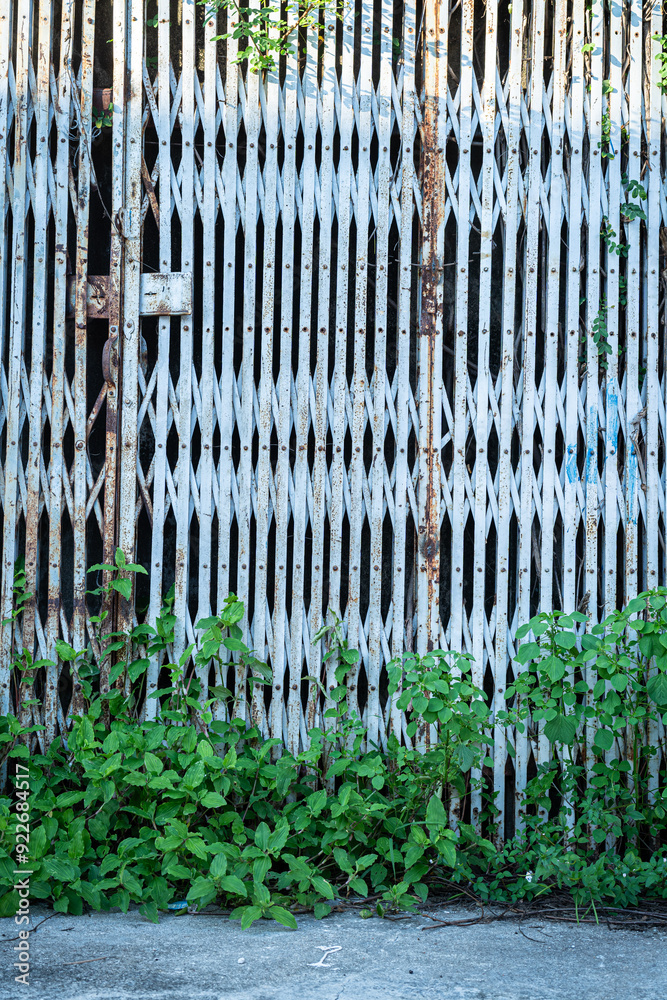 Old Wall sliding steel door,rusty iron hinged door tied with dense chains rusty old texture with green vine leaves that grows naturally background copy space text or design,Vintage style Old Wall sliding steel door,rusty iron hinged door tied with dense chains rusty old texture with green vine leaves that grows naturally background copy space text or design,Vintage style