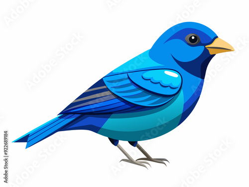 Passerin indigo