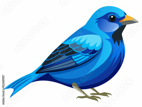 Passerin indigo