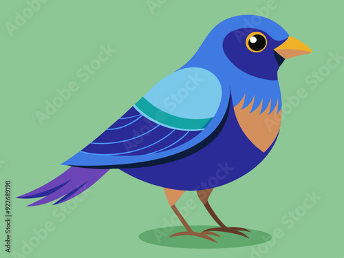 Passerin indigo