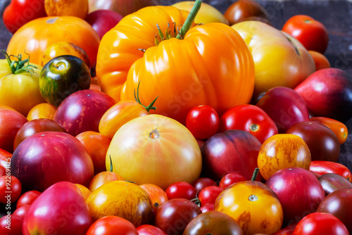 Obraz na płótnie Tomatoes of various varieties and sizes on an iron tray on a wooden table. w salonie