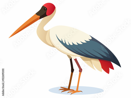 Oiseau de cigogne de Jabiru sur un fond blanc 
