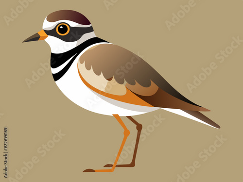 Oiseau Pluvier kildir illustration vectorielle de conception de fichiers simplifiés dessin
