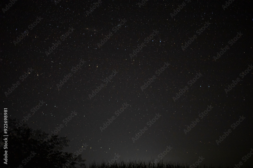 Night starry sky in summer Night starry sky in summer