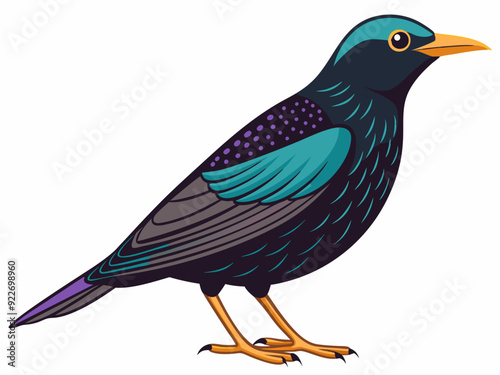 Sturnelle de l'Ouest