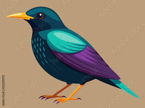 Sturnelle de l'Ouest