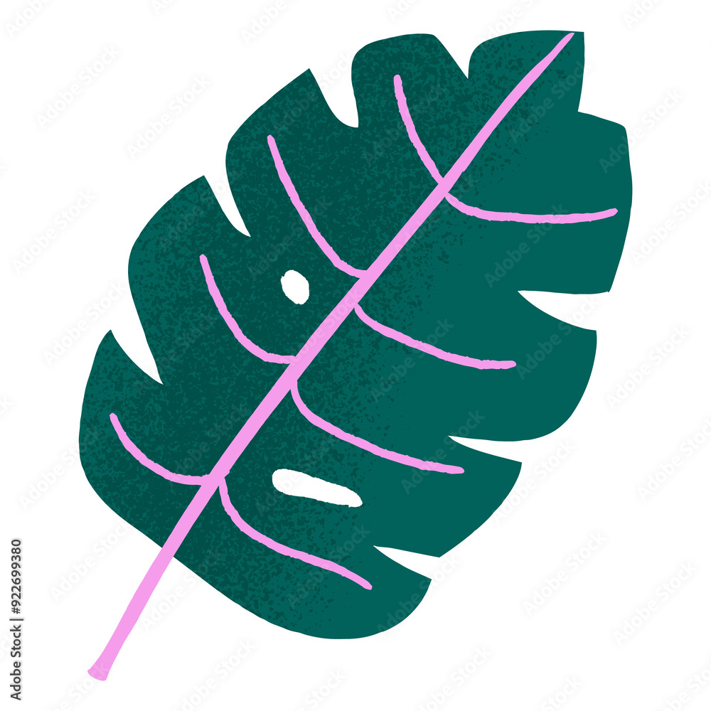 A big green spotty Monstera with pink veins A big green spotty Monstera with pink veins