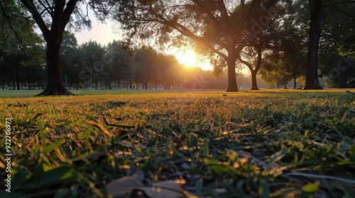 Sunset Over Tranquil Park With Lush Grass and Majestic Trees