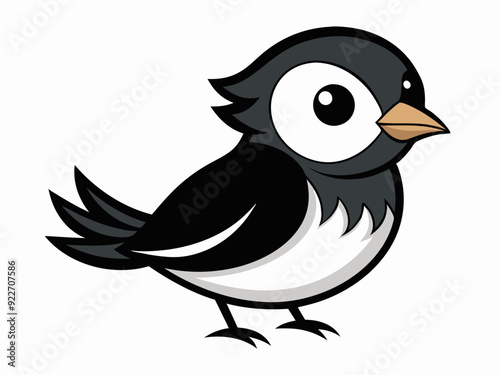 Blanc et gris couleur petit oiseau deuil colombe espèces assez mignon nature animal belle faune créature
