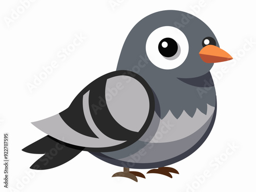 Blanc et gris couleur petit oiseau deuil colombe espèces assez mignon nature animal belle faune créature
