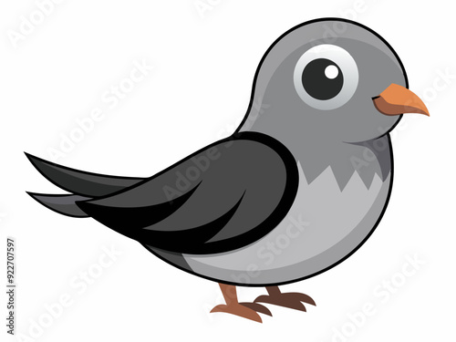 Blanc et gris couleur petit oiseau deuil colombe espèces assez mignon nature animal belle faune créature
