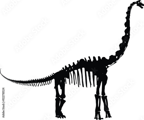 Brachiosaurus large dinosaur graphic illustration
