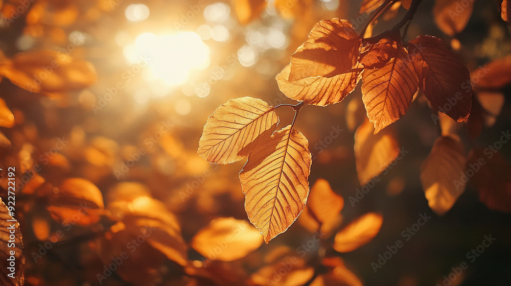 golden autumn leaves golden autumn leaves