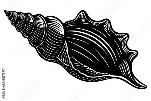 Conch in medieval style art vector