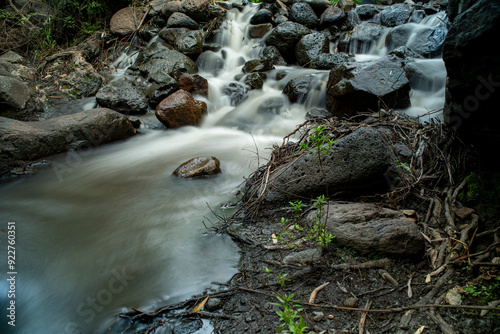 nacimiento de agua, montaña, riachuelo, agua seda, charco, humedad, piedras, plantas, rios photo