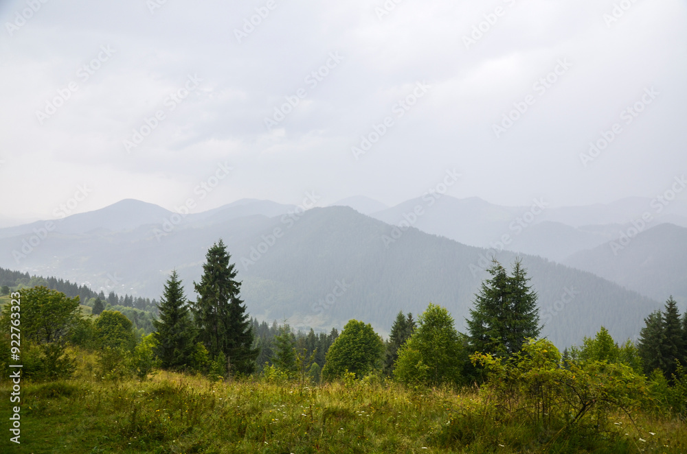 Obraz premium Mountain landscape enveloped in rain mist. Layers of hills recede into the distance with lush greenery in the foreground transitioning to lighter shades of blue and gray. Carpathian Mountains, Ukrain