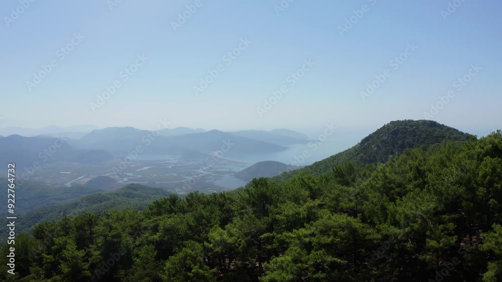 4K Aerial Video of Pine Tree Forest in the Mountains at the Coast of Mediterranean Sea 4K Aerial Video of Pine Tree Forest in the Mountains at the Coast of Mediterranean Sea