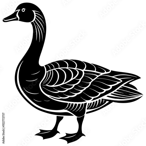 duck isolated on white