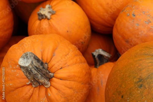 pumpkins displayed