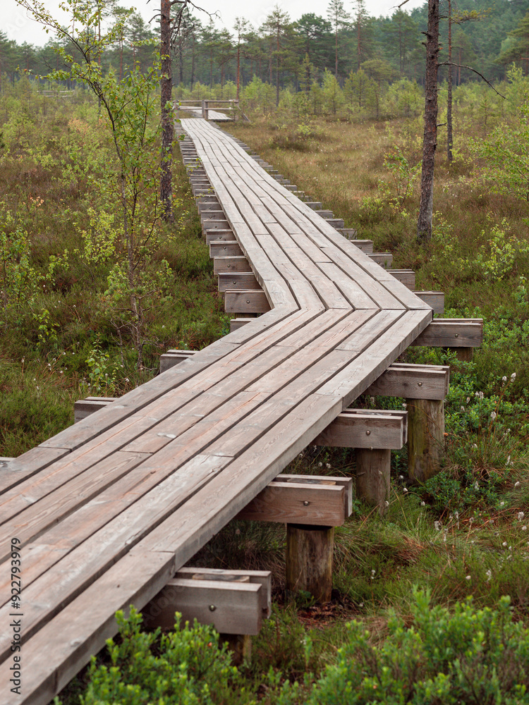 Wooden footpath in a forest park. The walk is long and narrow, with trees on either side. Scene is peaceful and serene. Outdoor walking area design to enjoy and preserve nature environment. Wooden footpath in a forest park. The walk is long and narrow, with trees on either side. Scene is peaceful and serene. Outdoor walking area design to enjoy and preserve nature environment.