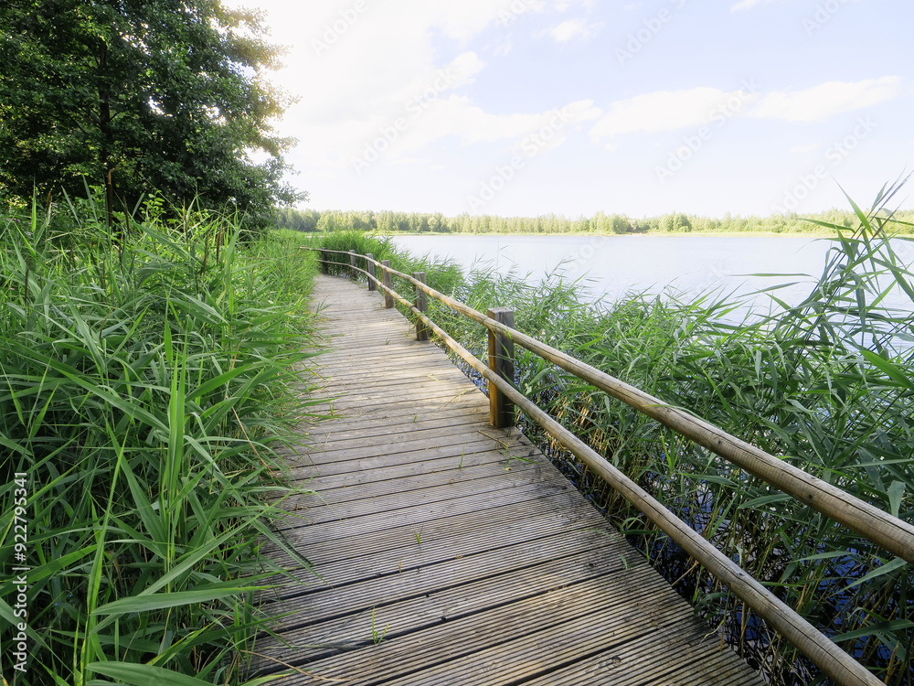 Fototapeta premium A wooden boardwalk foot path runs along the edge of a lake. The water is calm and the sky is clear. Warm sunny day vibe. Green grass on a side. Park design and outdoor activity