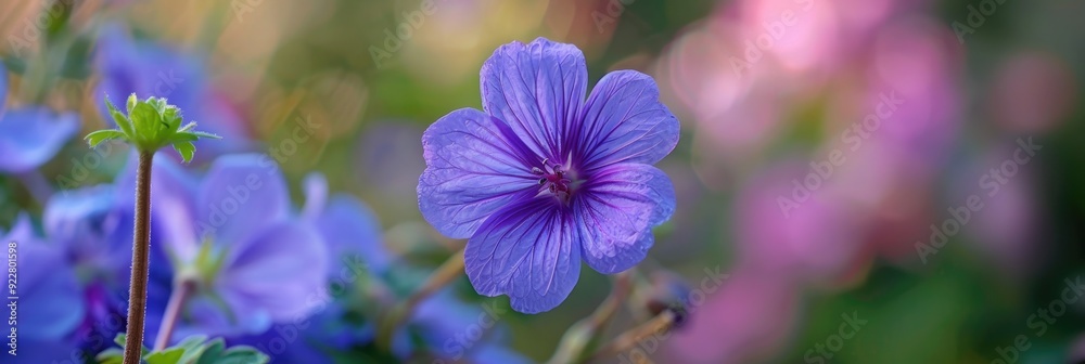 Delicate purple bloom in a garden setting Delicate purple bloom in a garden setting