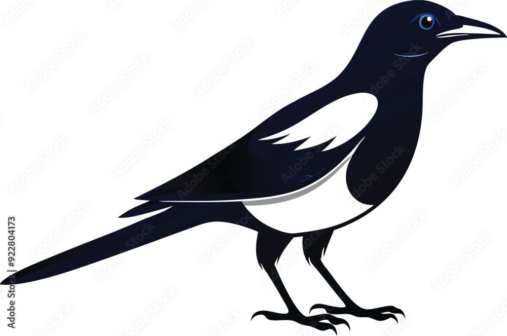 Obraz premium magpie silhouette vector art illustration 