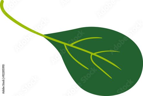 Leaf Salad Greens Edible Plant