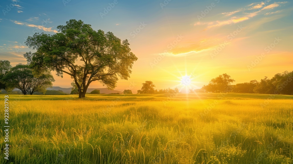 Free good morning scene wallpaper background photo Free good morning scene wallpaper background photo