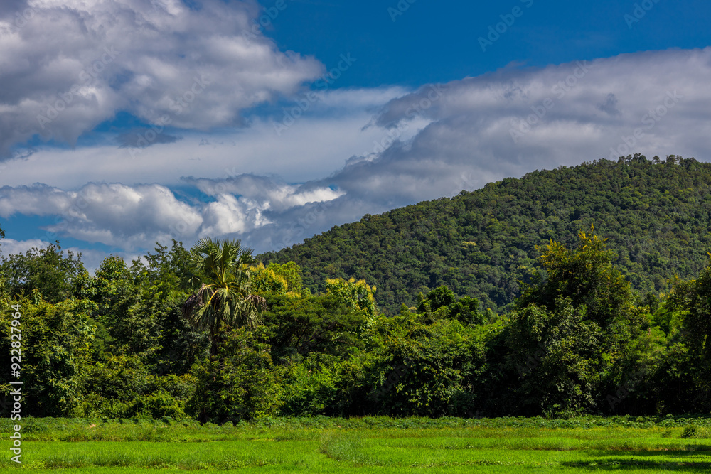Nature Wallpaper (Mountains, Green Fields, Roadside Accommodation, Twilight Sky) The beauty of nature while traveling, with the wind blowing through the blurred leaves.