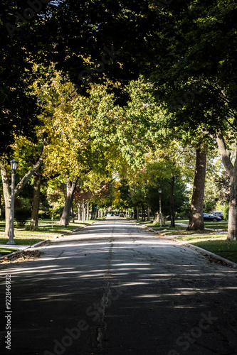 autumn in the park