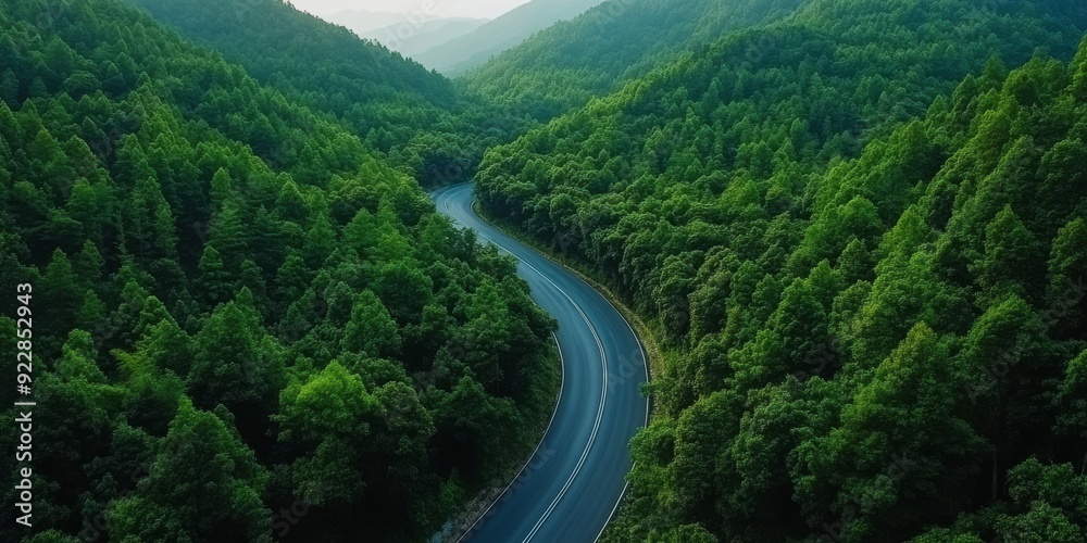 Explore the scenic beauty of a winding asphalt road surrounded by vibrant green forests in this stunning aerial view Explore the scenic beauty of a winding asphalt road surrounded by vibrant green forests in this stunning aerial view